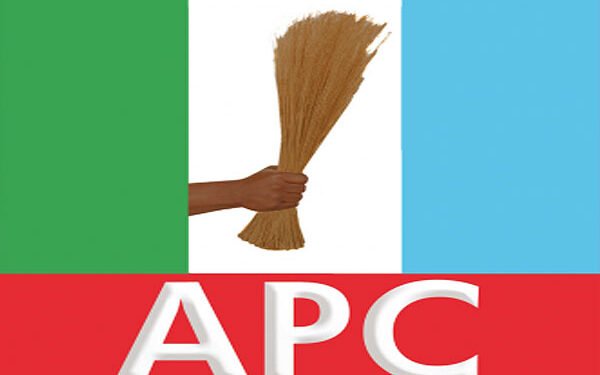APC Chieftain Urges Opposition to Focus on Constructive Criticism