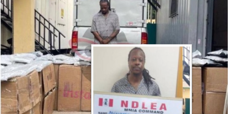 NDLEA Arrests Lekki Big Boy, Arokodare Ebenezer for Dealing Drugs