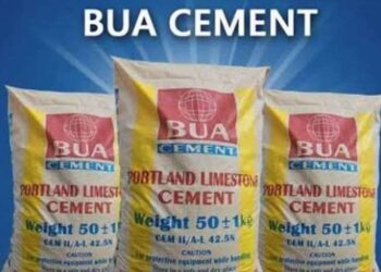 BUA Cement to Pay Shareholders...