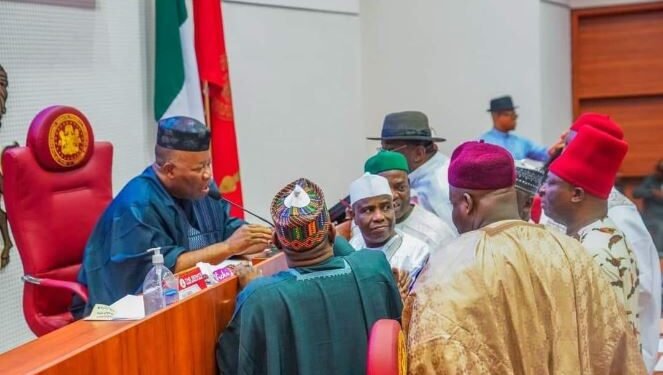 Senator Natasha Akpoti-Uduaghan's Petition tears Senate apart