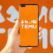 Temu