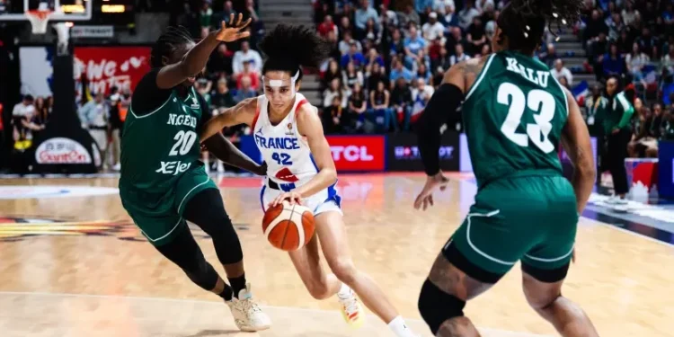 D'Tigress