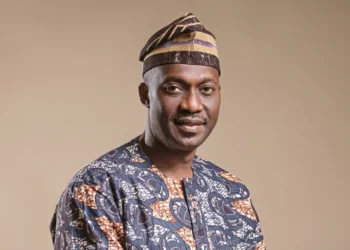 Nigerian manufacturers lament excessive bottlenecks in cross-border trade