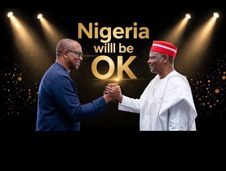 NDC offers Obi, Kwankwanso presidential ticket, fears ADC might fail