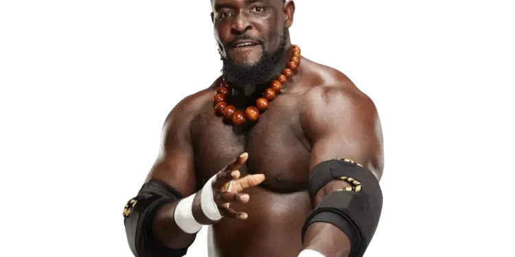 Biography of Oba Femi