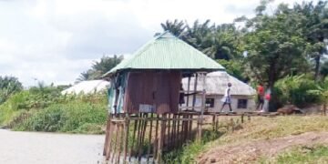 Delta community laments drinking human waste-polluted river