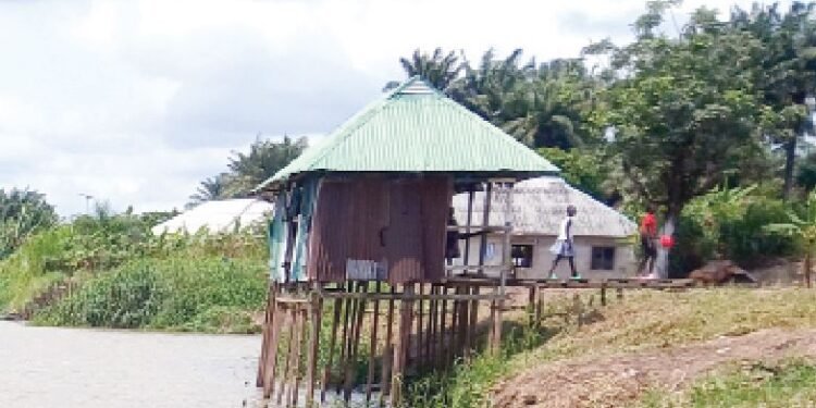 Delta community laments drinking human waste-polluted river