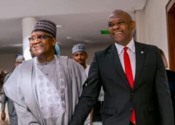 Dangote refutes 'malicious' claims over Tony Elumelu