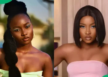 Ilebaye Biography 2026: Age, Family, Career, BBNaija Journey, Net Worth, and Latest News