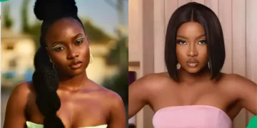 Ilebaye Biography 2026: Age, Family, Career, BBNaija Journey, Net Worth, and Latest News