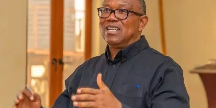'I am not a fanatic that runs around' - APC digs old video of Peter Obi